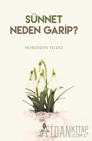 Sünnet Neden Garip? Nureddin Yıldız