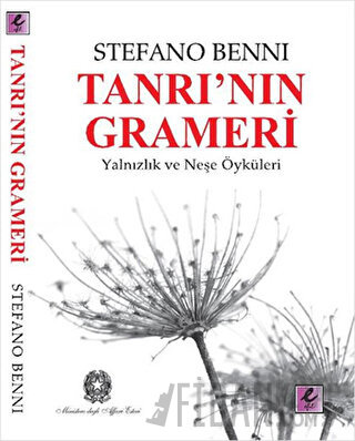 Tanrı’nın Grameri Stefano Benni