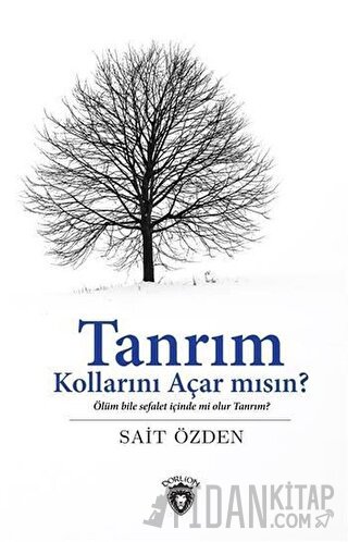 Tanrım Kollarını Açar mısın? Sait Özden