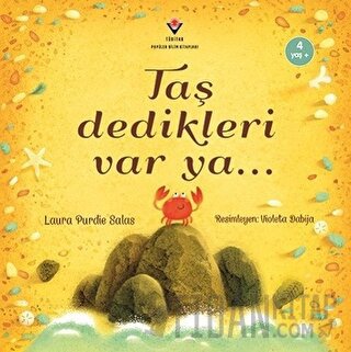 Taş Dedikleri Var Ya... Laura Purdie Salas