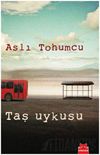 Taş Uykusu Aslı Tohumcu