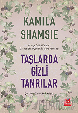 Taşlarda Gizli Tanrılar Kamila Shamsie