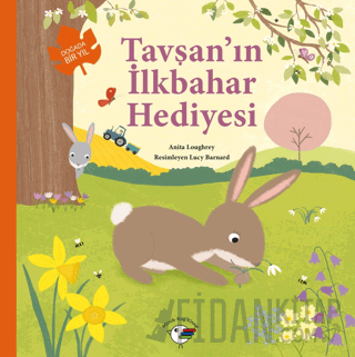 Tavşan’ın İlkbahar Hediyesi – Doğada Bir Yıl Anita Loughrey