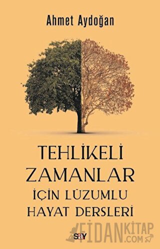 Tehlikeli Zamanlar İçin Lüzumlu Hayat Dersleri Ahmet Aydoğan