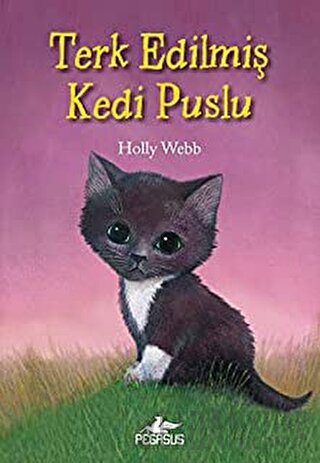 Terk Edilmiş Kedi Puslu Holly Webb