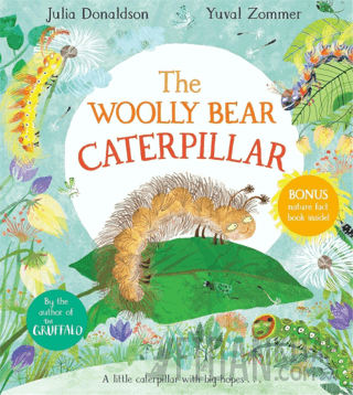 The Woolly Bear Caterpillar Julia Donaldson