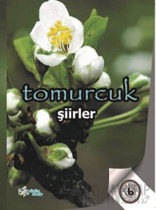 Tomurcuk İbrahim Bekler