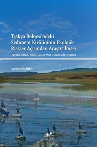 Trakya Bölgesi'ndeki Sediment Kirliliğinin Ekolojik Riskler Açısından 