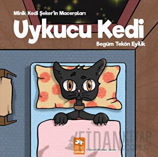 Uykucu Kedi Begüm Tekön Eyilik