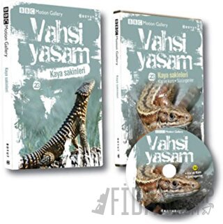 Vahşi Yaşam 2 - Kaya Sakinleri (Ciltli) Chris Mattison