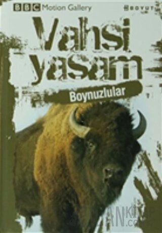 Vahşi Yaşam-Boynuzlular (Ciltli) Amy-Jane Beer