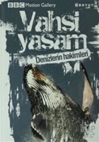 Vahşi Yaşam-Denizlerin Hakimleri (Ciltli) Amy-Jane Beer