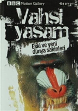 Vahşi Yaşam-Eski ve Yeni Dünya Sakinleri Amy-Jane Beer