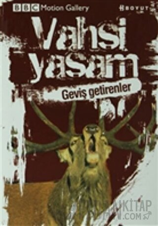 Vahşi Yaşam-Geviş Getirenler Amy-Jane Beer