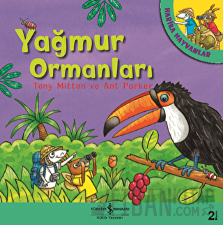 Yağmur Ormanları - Harika Hayvanlar Ant Parker