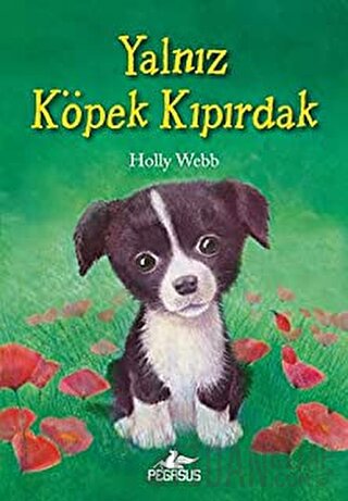 Yalnız Köpek Kıpırdak Holly Webb