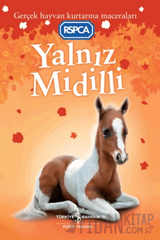 Yalnız Midilli Sarah Hawkins