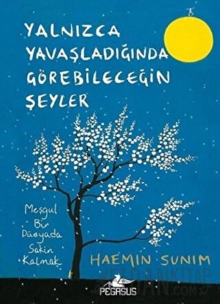 Yalnızca Yavaşladığında Görebileceğin Şeyler Haemin Sunim