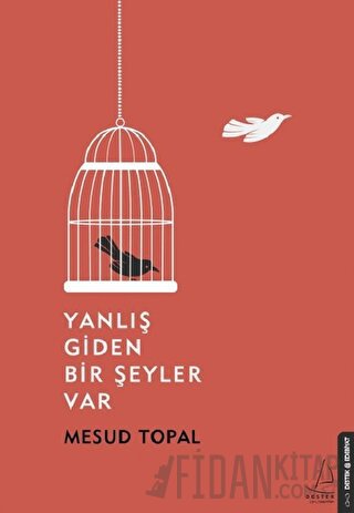 Yanlış Giden Bir Şeyler Var Mesud Topal