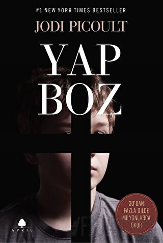 Yapboz Jodi Picoult