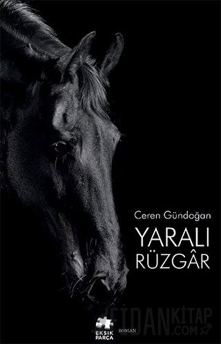 Yaralı Rüzgar Ceren Gündoğan