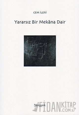 Yararsız Bir Mekana Dair Cem İleri