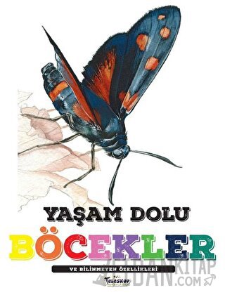 Yaşam Dolu Böcekler ve Bilinmeyen Özellikleri Kolektif