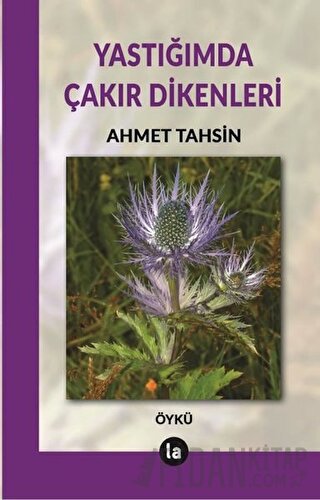 Yastığımda Çakır Dikenleri Ahmet Tahsin