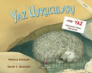 Yaz Uykucuları: Yaz Uykusuna Yatan Hayvanlar Melissa Stewart