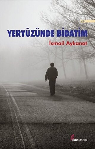 Yeryüzünde Bidatim İsmail Aykanat