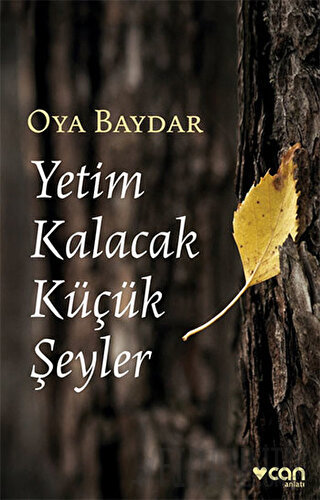 Yetim Kalacak Küçük Şeyler Oya Baydar