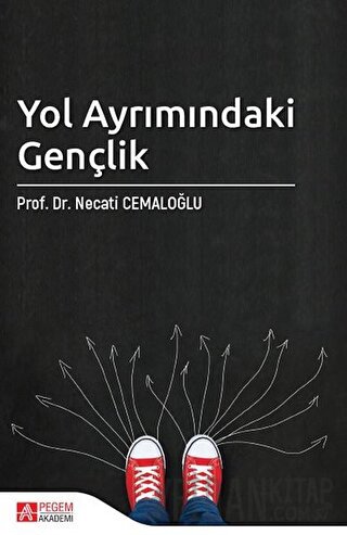 Yol Ayrımındaki Gençlik Necati Cemaloğlu