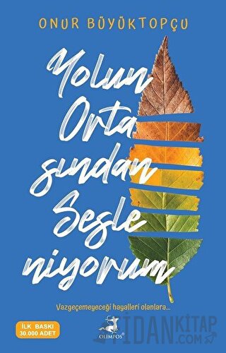 Yolun Ortasından Sesleniyorum Onur Büyüktopçu