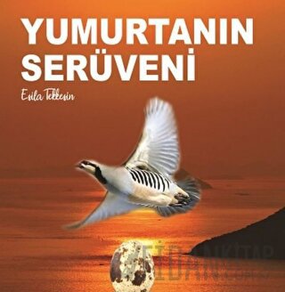 Yumurtanın Serüveni Esila Tekkeşin