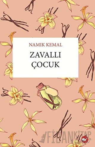 Zavallı Çocuk Namık Kemal